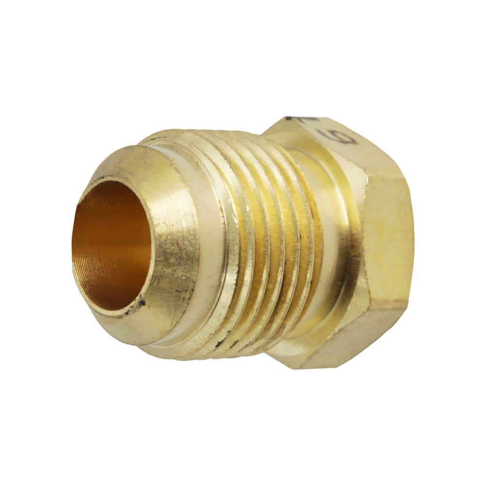 Everbilt 1/2 in. Flare Brass Plug Fitting (3)