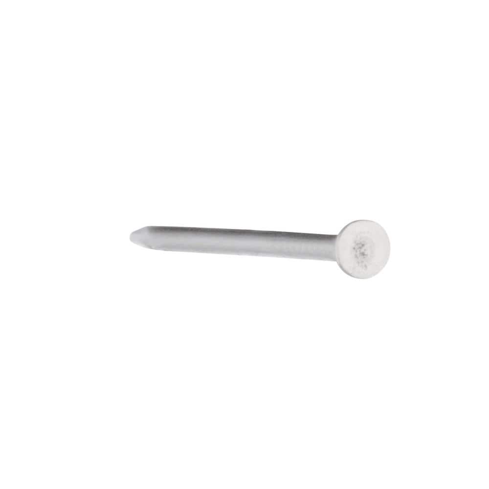 Everbilt #17 x 1 in. Stainless Wire Nails (1 oz. per Pack) (3)
