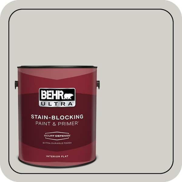 BEHR PREMIUM PLUS Home Decorators Collection #HDC-NT-17G Polar Fox Flat Interior/Exterior Paint & Primer Color Sample (3)