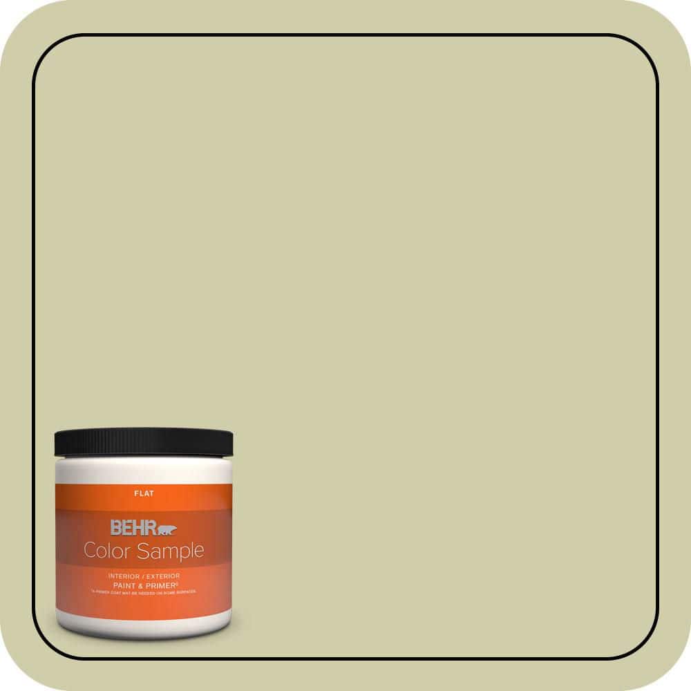 BEHR PREMIUM PLUS #S340-3 Hybrid Interior/Exterior Paint & Primer Color Sample (1)
