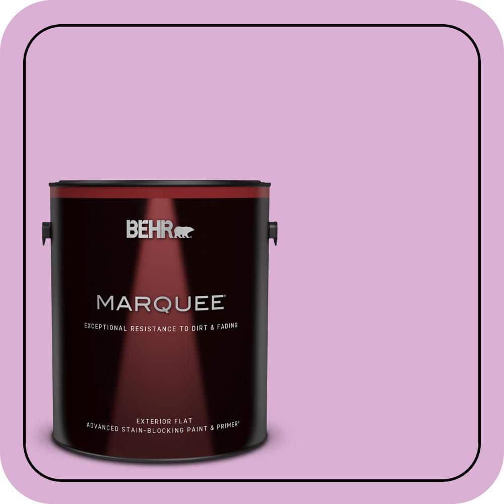 BEHR MARQUEE 1 gal. #P110-3 BFF Flat Exterior Paint & Primer