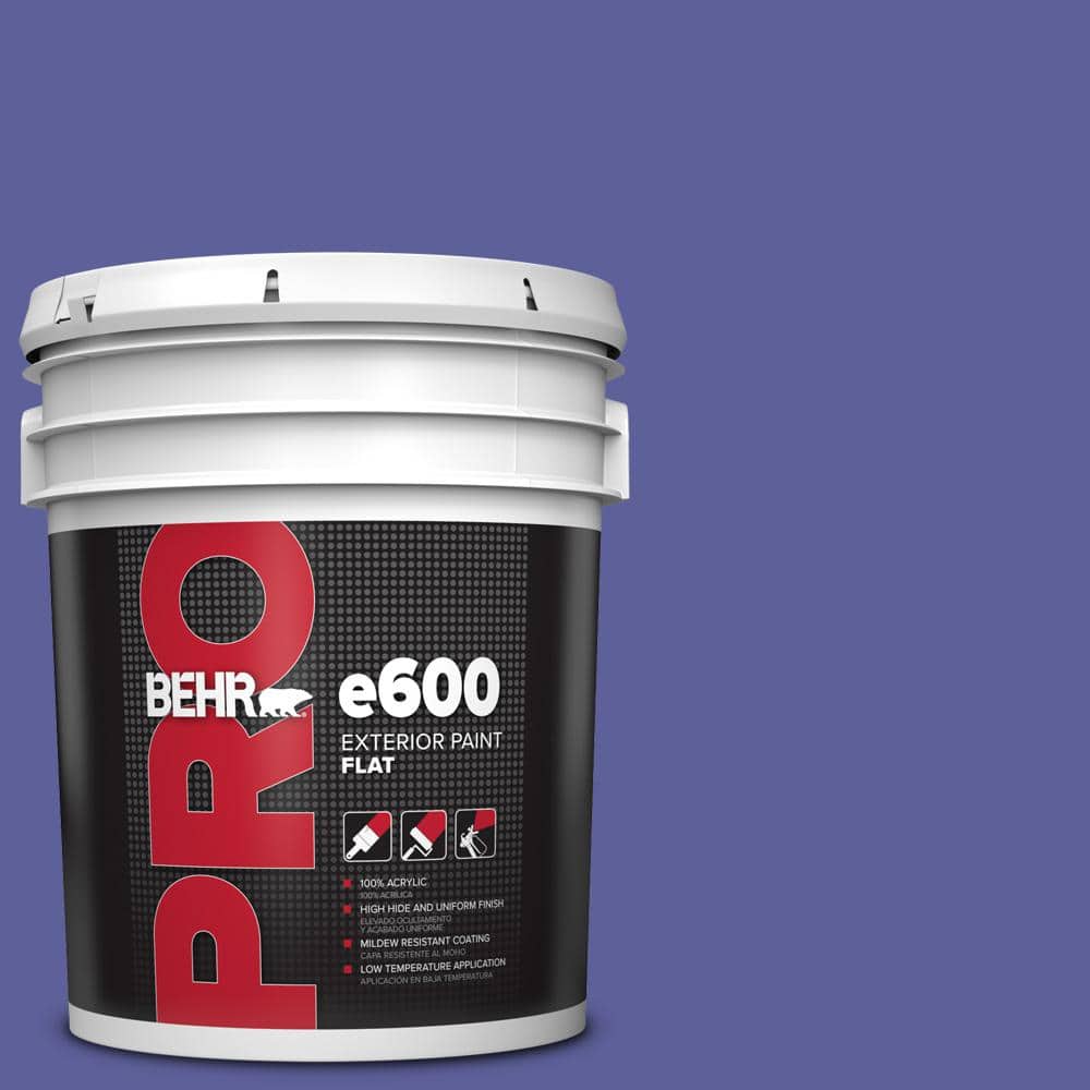 BEHR PRO 5 gal. #P550-6 Wizards Potion Flat Exterior Paint