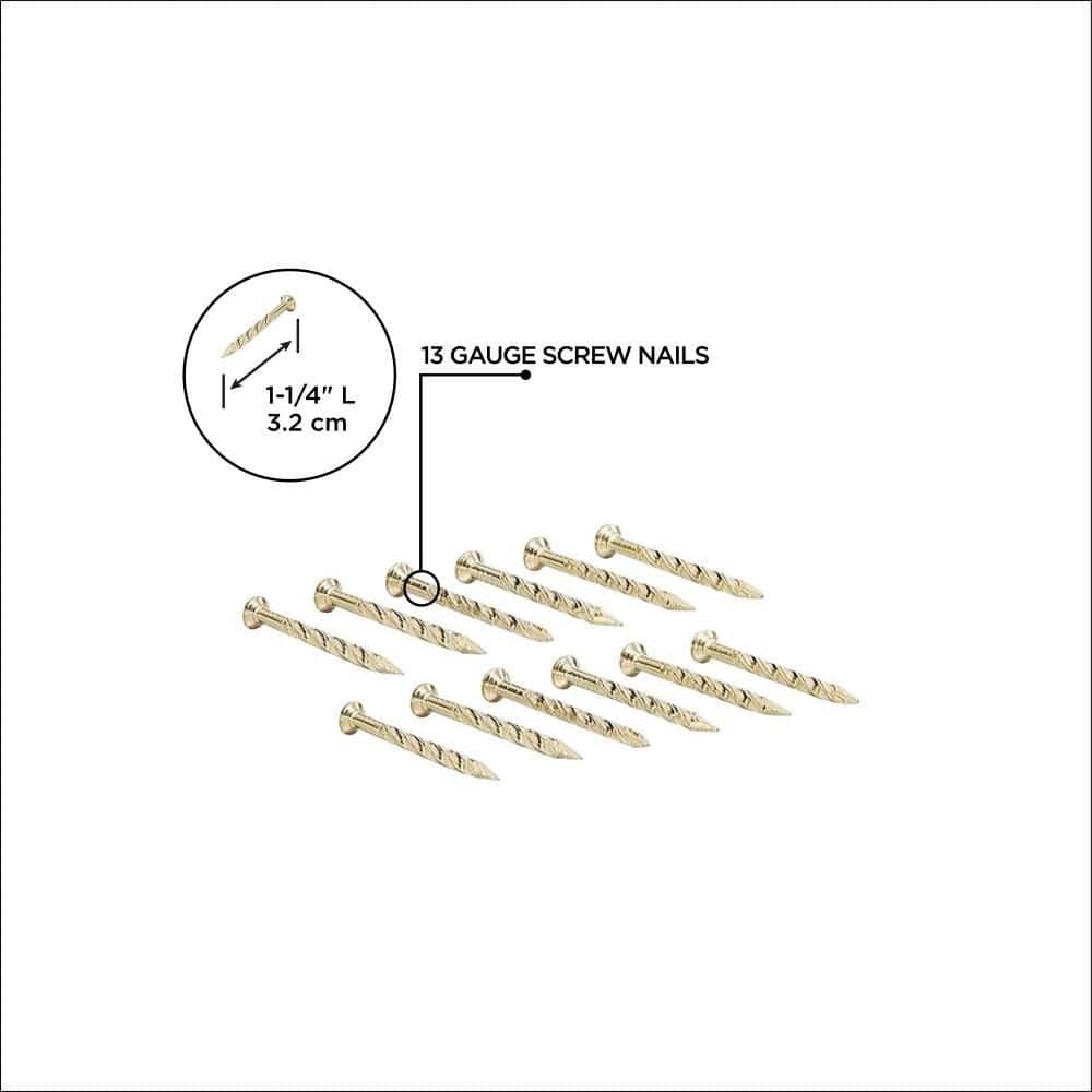 M-D Building Products 1-1/4" SATIN BRASS FLOOR METAL SCREW NAILS (12CT) (3)