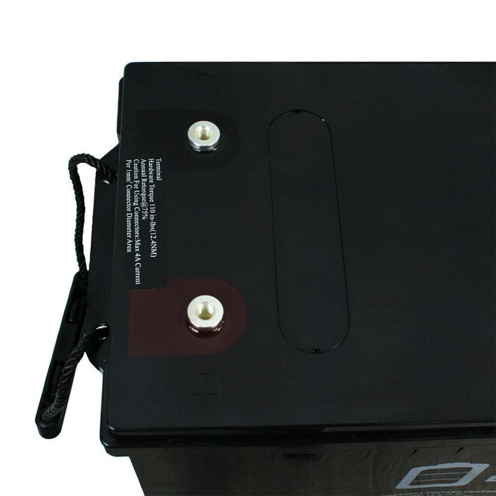 MIGHTY MAX BATTERY 12-Volt 200Ah 4D SLA AGM Battery Replacement for Deka 8G4D - 2 Pack (3)