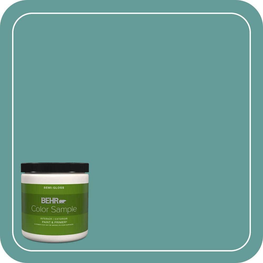 BEHR PREMIUM PLUS #MQ6-06 Semi-Precious Flat Interior/Exterior Paint & Primer Color Sample (1)