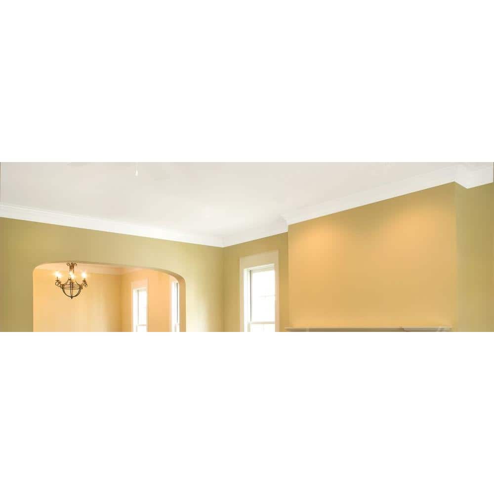 Zinsser 1 gal. Flat Bright White Ceiling Paint and Primer in One (2-Pack) (3)