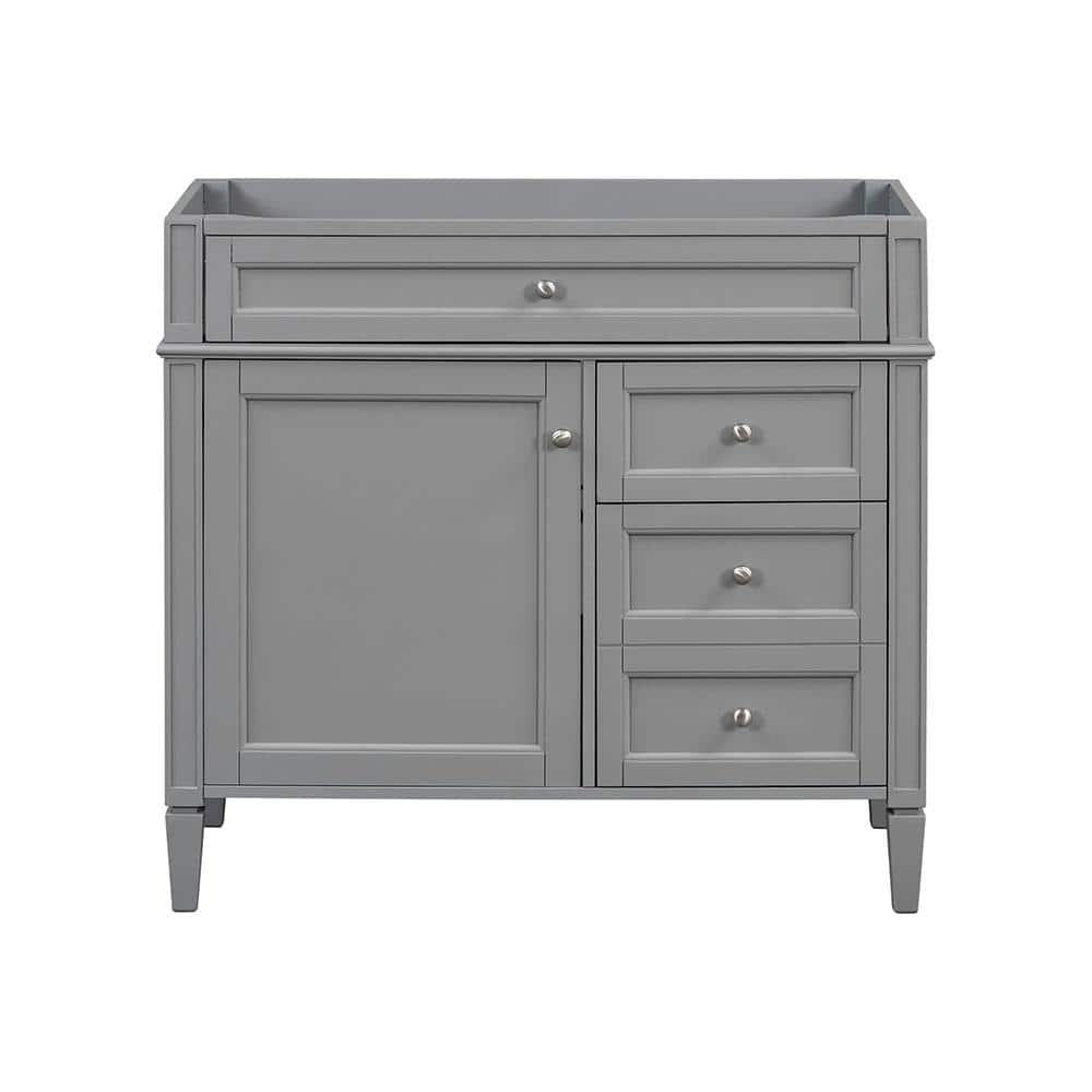 Adrinfly W 18 in. D 33 in. H Bath Vanity Cabinet without Top with 2 Drawers & Tip-Out Drawer (Cabinet Only)