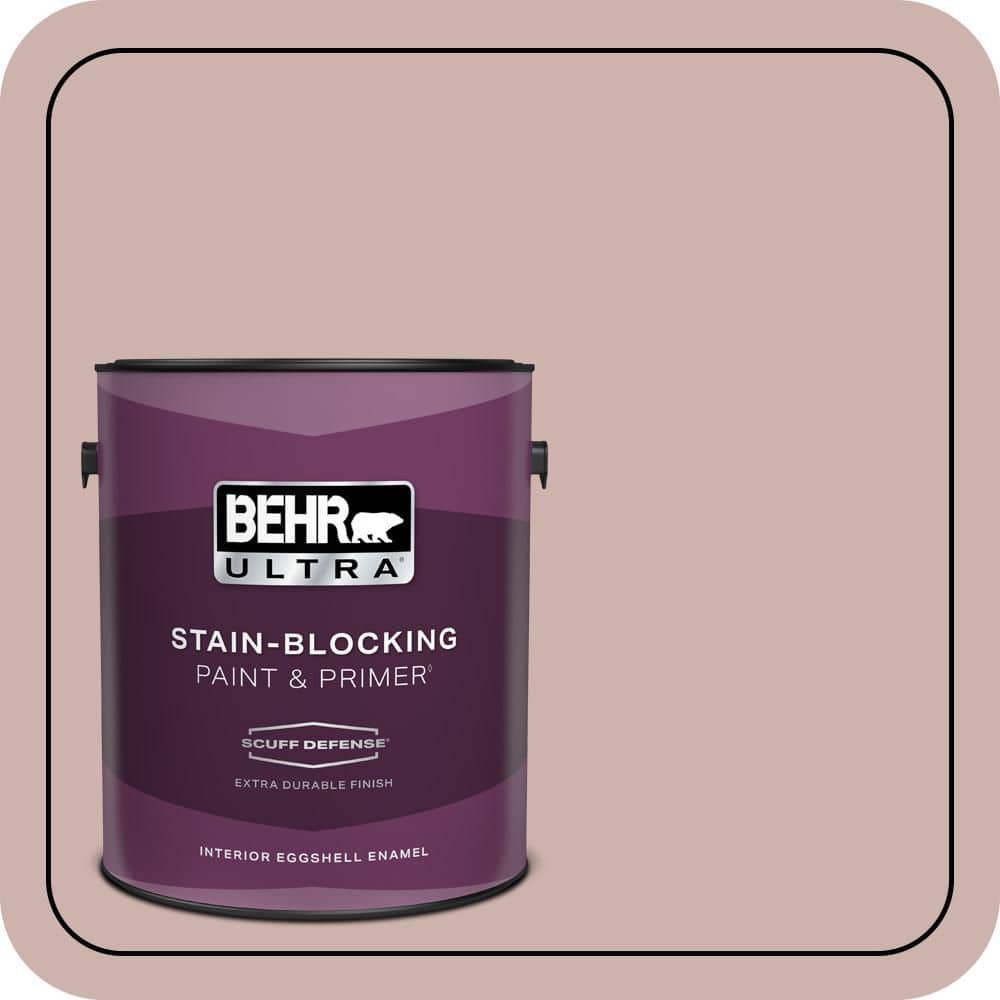 BEHR PREMIUM PLUS #180E-3 Plymouth Notch Enamel & Primer Color Sample (1)
