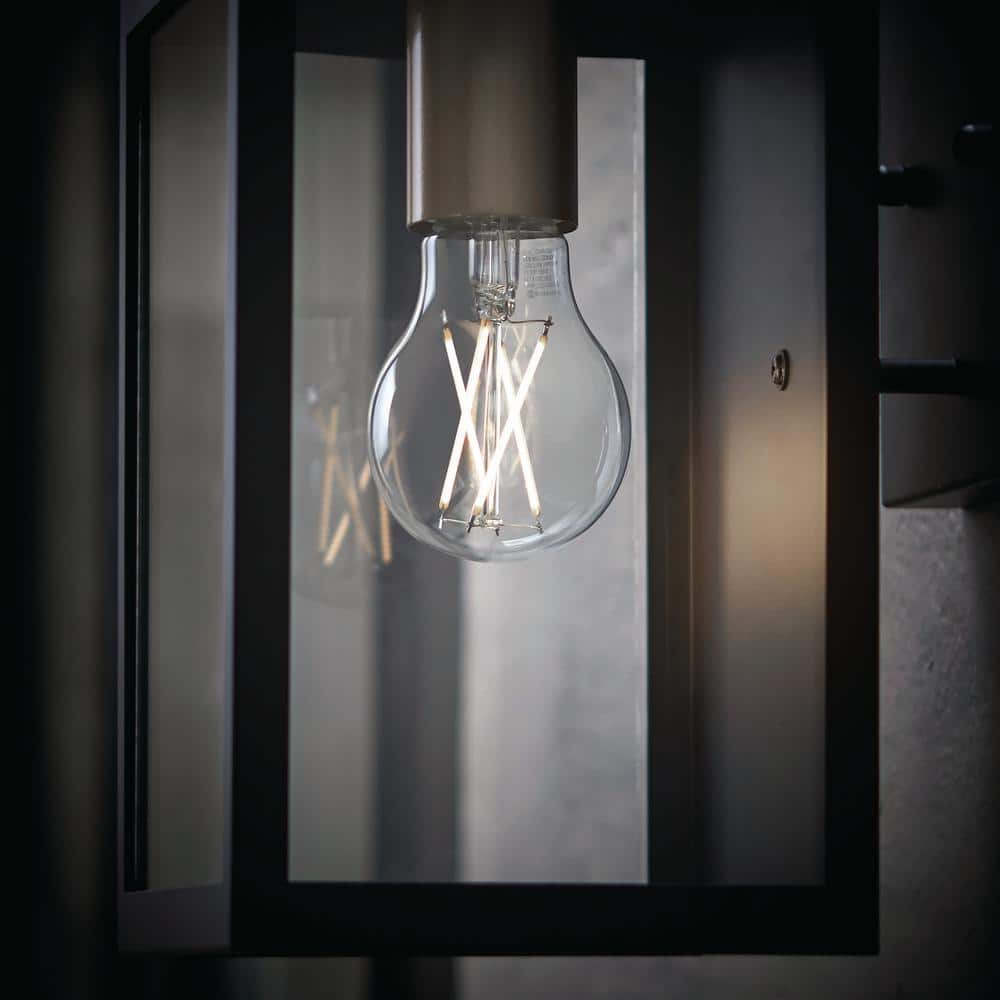 EcoSmart 60-Watt Equivalent A19 Dimmable CEC Dusk to Dawn Clear Glass Filament LED Light Bulb Soft White (3)