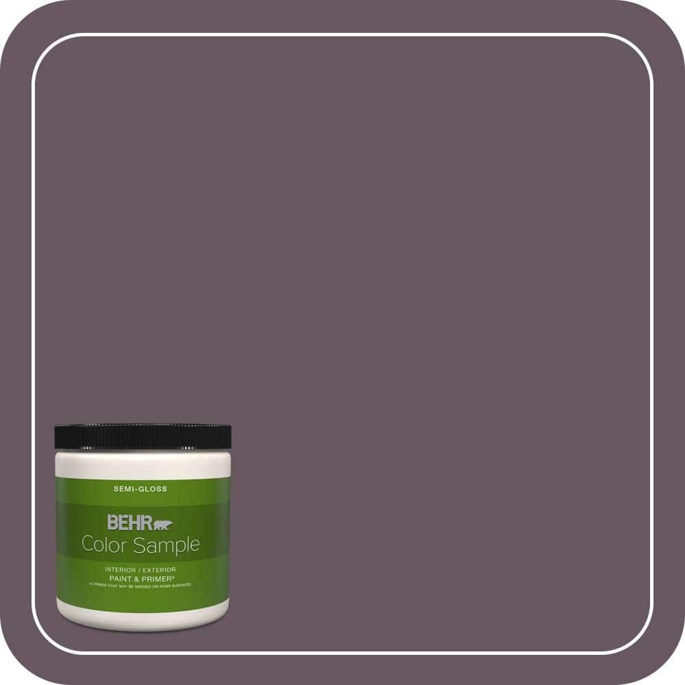 BEHR PREMIUM PLUS 8 oz. #N100-6 Urban Legend Semi-Gloss Interior/Exterior Paint & Primer Color Sample