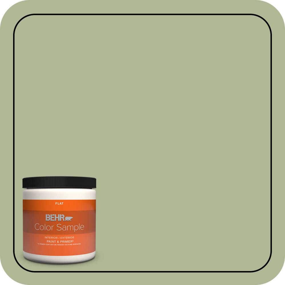 BEHR PREMIUM PLUS #PPU11-08 Moss Print Interior/Exterior Paint & Primer Color Sample (1)
