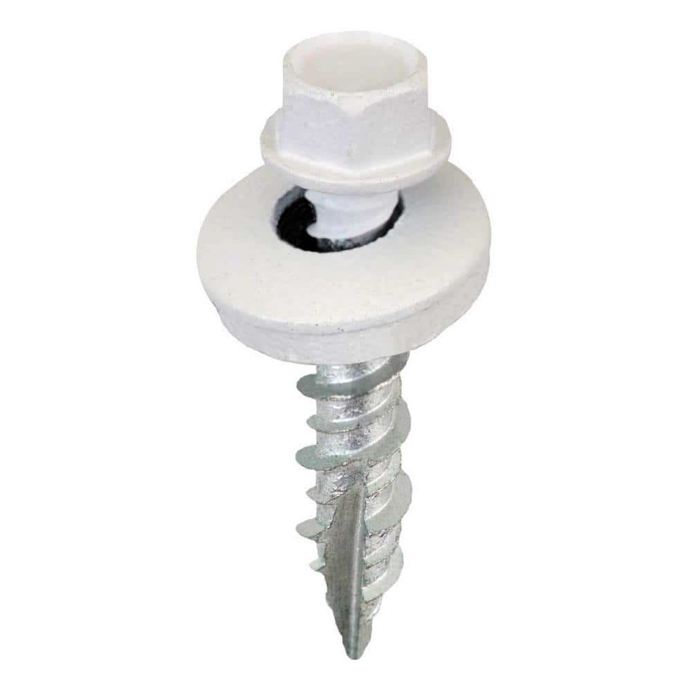 Acorn Hardware #9 X 1 inch Bright White Hex Metal to Wood Screws (Bag of 250)