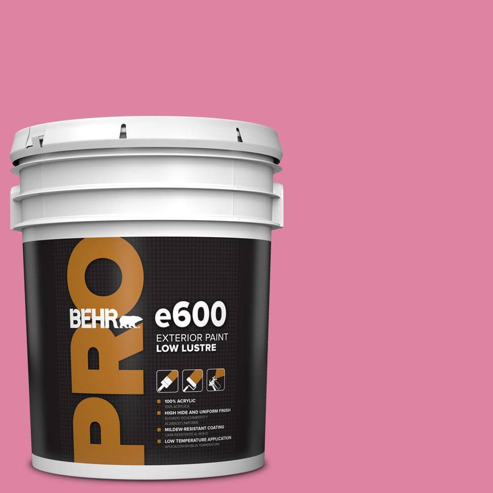 BEHR PRO 5 gal. #HDC-MD-10A Sweet Chrysanthemum Low Luster Exterior Paint
