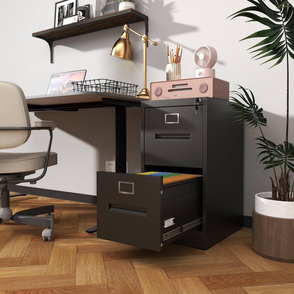 Tidoin Modern 2-Drawer Black Metal 18 in. W Vertical File Cabinet (2)
