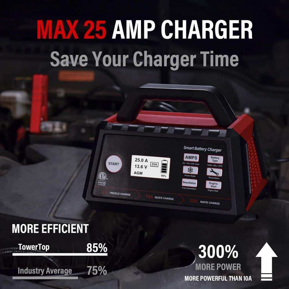 Unbranded 12V Smart Car Charger Fully Automatic Maintainer with Engine Start Desulfator Repair Winter Mode 1 Pack (2)
