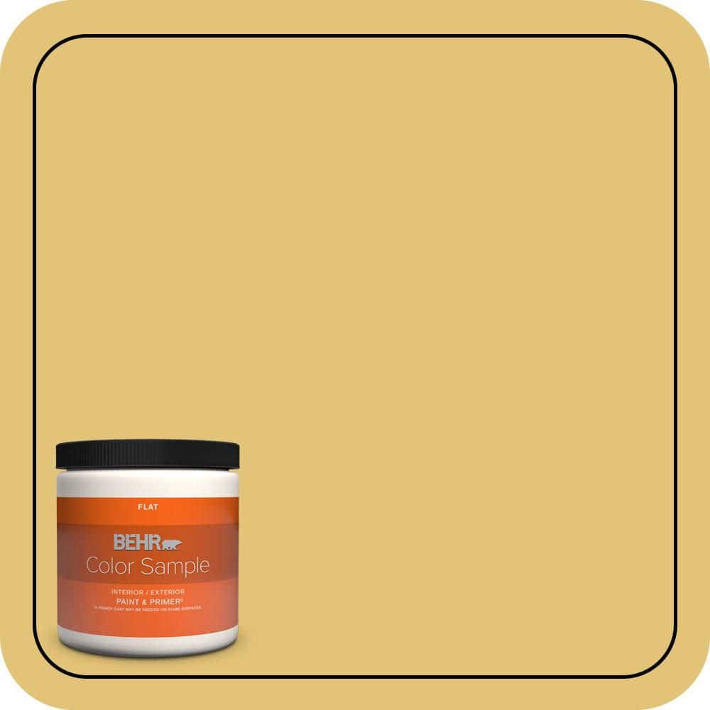 BEHR PREMIUM PLUS #370D-5 Summer Field Flat Interior/Exterior Paint & Primer Color Sample (1)