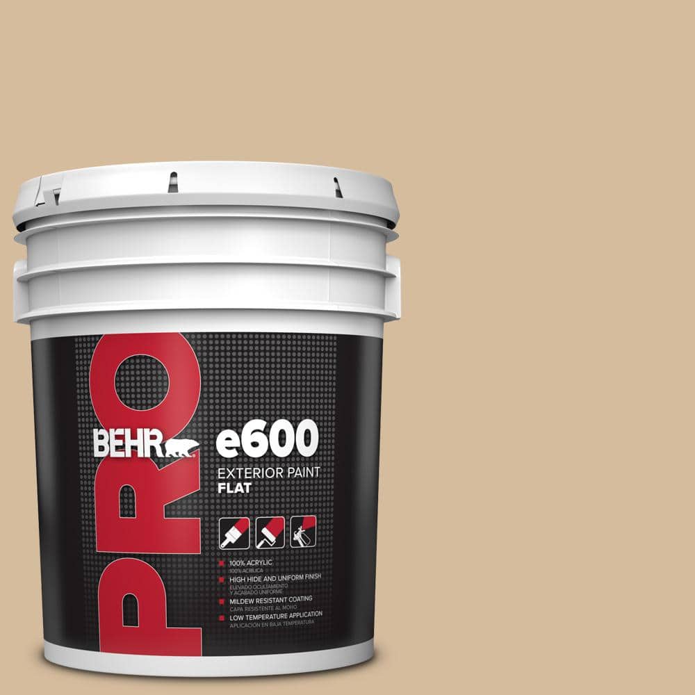 BEHR PRO 5 gal. #T18-06 Kombucha Flat Exterior Paint