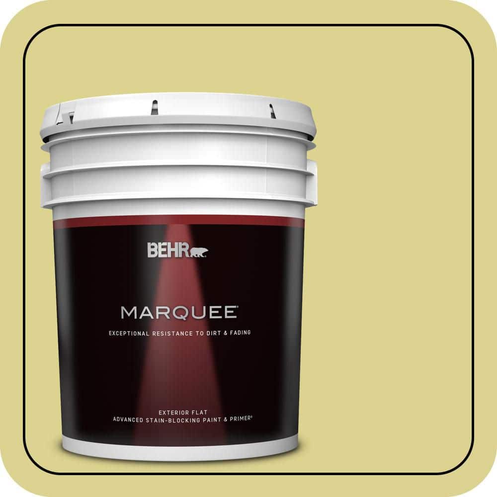 BEHR MARQUEE 5 gal. #T17-16 Thats My Lime Flat Exterior Paint & Primer