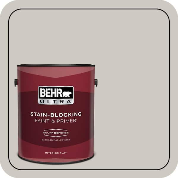 BEHR PREMIUM PLUS Home Decorators Collection #HDC-WR14-2 Winter Haze Enamel & Primer Color Sample (3)