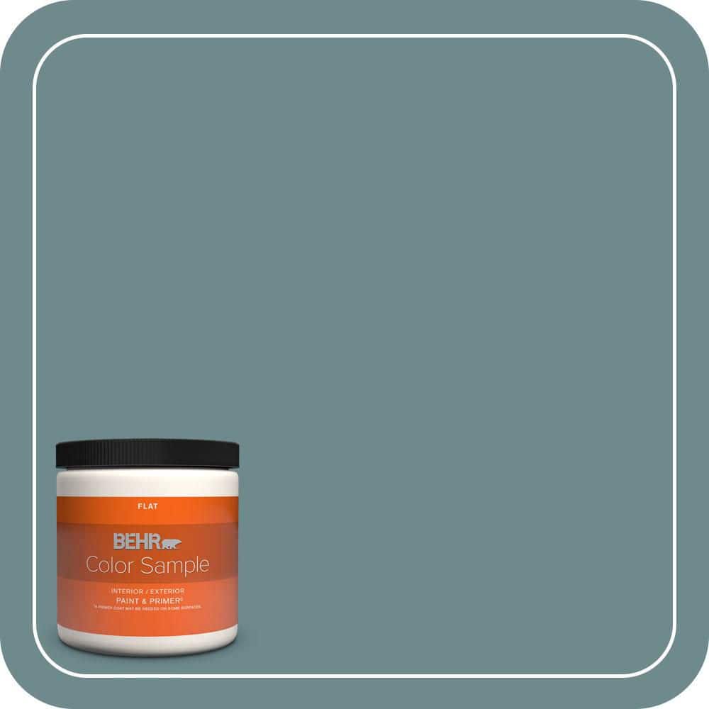 BEHR PREMIUM PLUS #PPU13-06 Polaris Blue Enamel & Primer Color Sample (1)