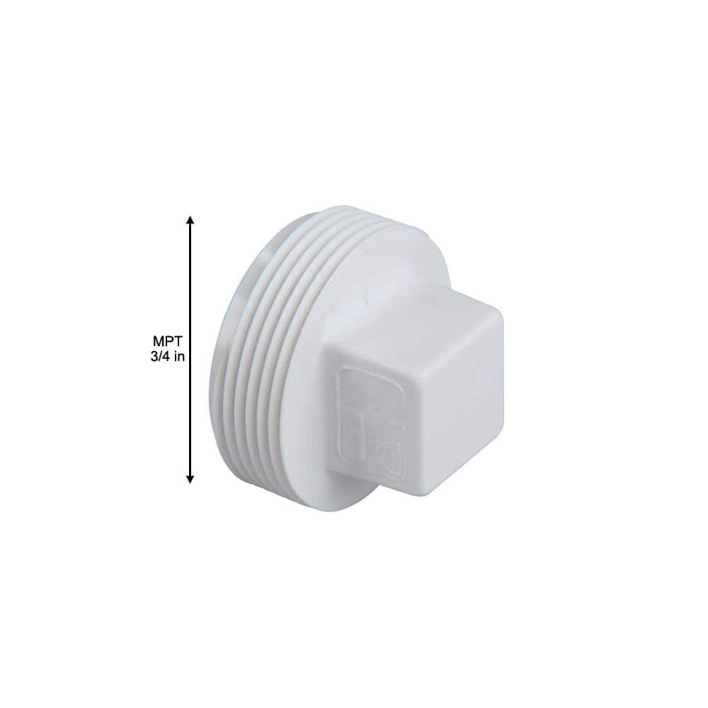 NIBCO 3/4 in. PVC DWV MIPT Cleanout Plug (3)