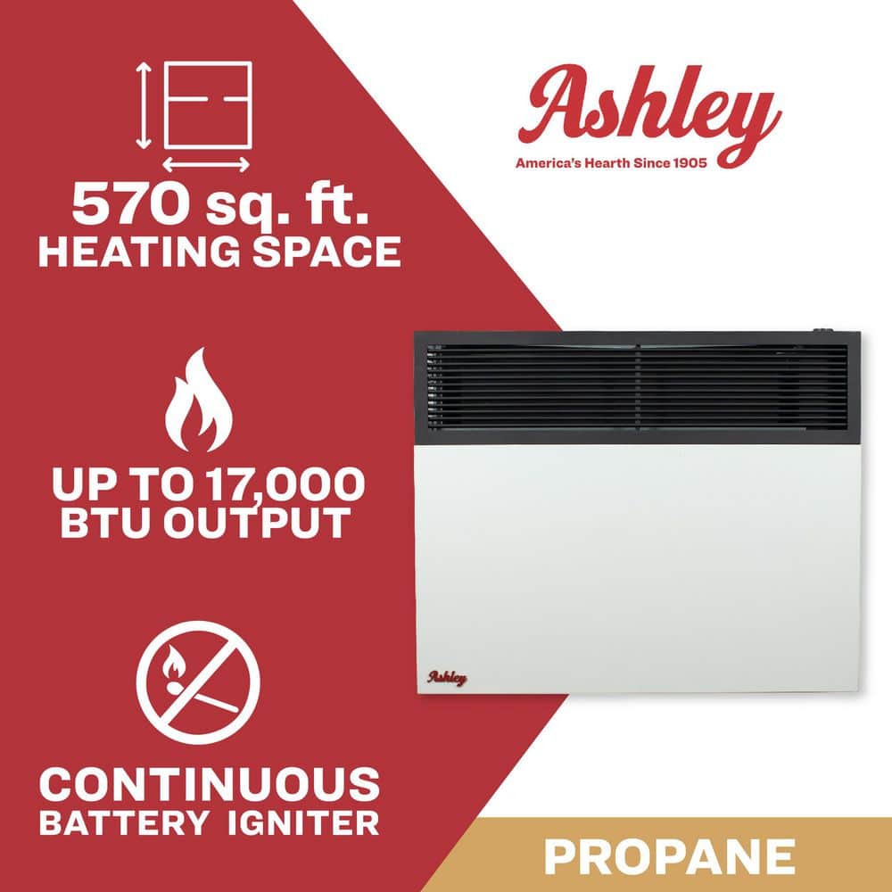 Ashley Hearth Products 17,000 BTU Direct Vent Propane Heater (2)