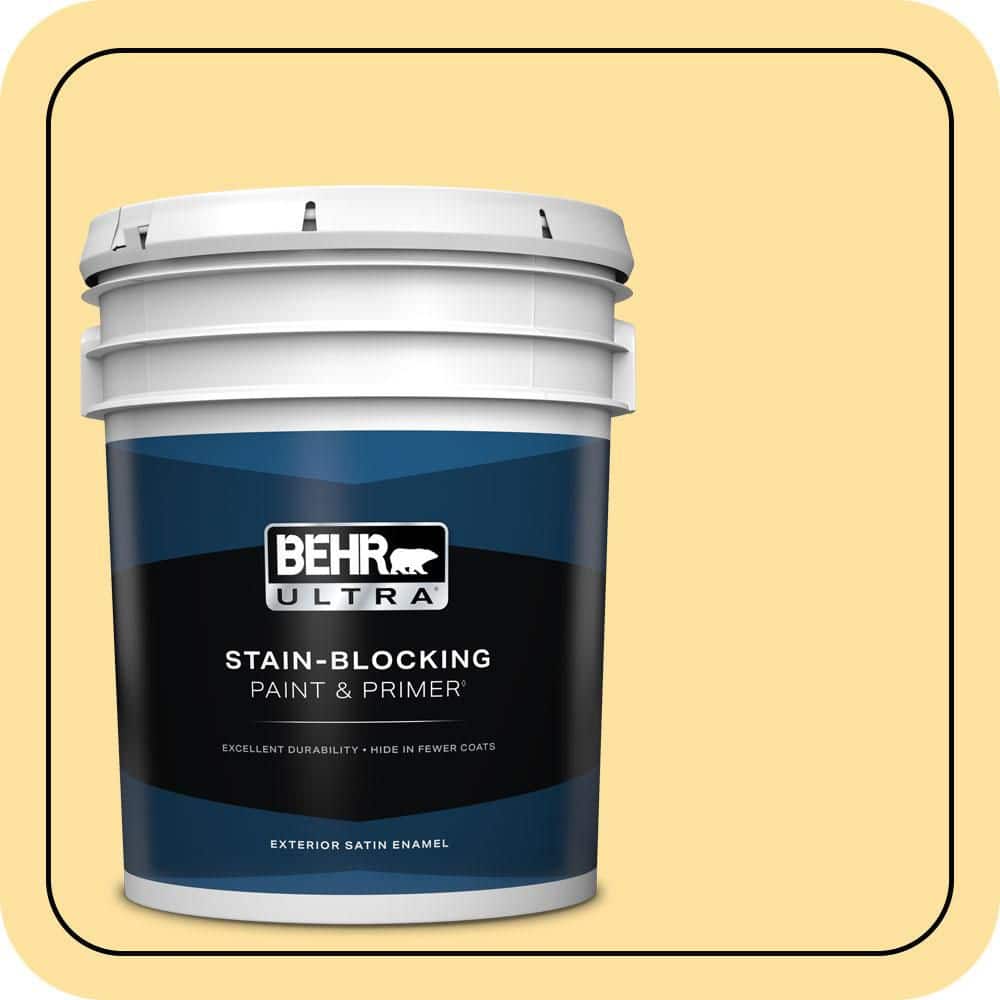 BEHR ULTRA 5 gal. #P280-3 Polka Dot Skirt Satin Enamel Exterior Paint & Primer