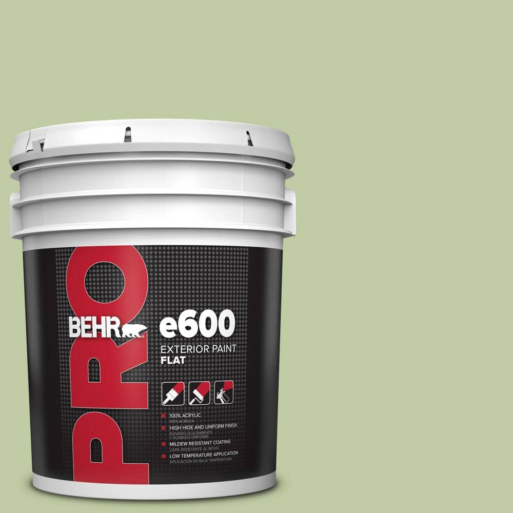 BEHR PRO 5 gal. #M360-4 Marjoram Flat Exterior Paint