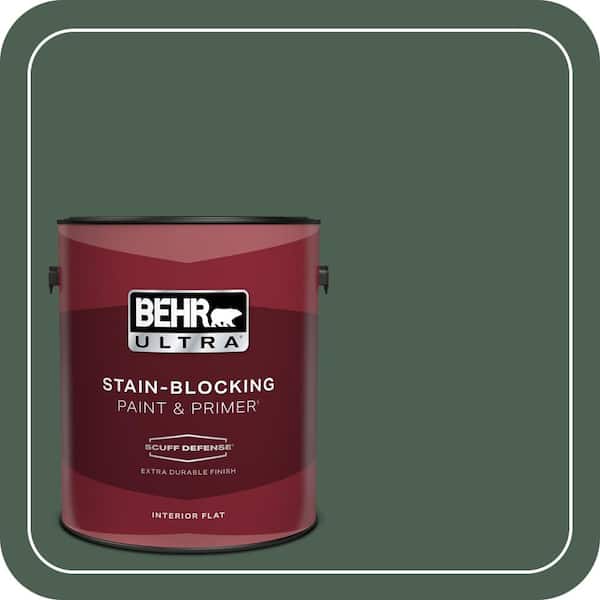 BEHR PREMIUM PLUS #PPU11-20 Congo Enamel & Primer Color Sample (4)