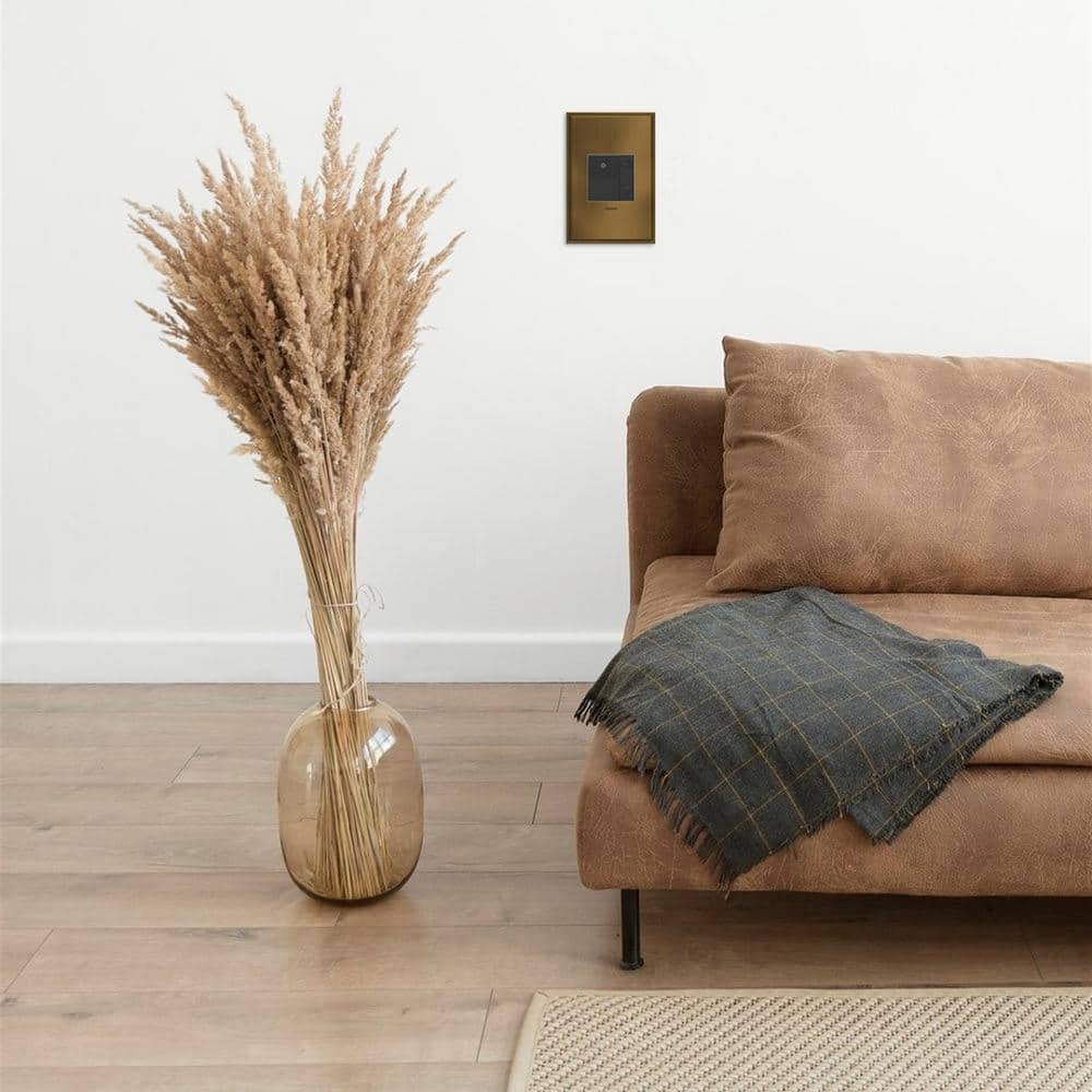 Legrand adorne Paddle 1.6 Amp 4-Speed Fan Control with Microban (3)
