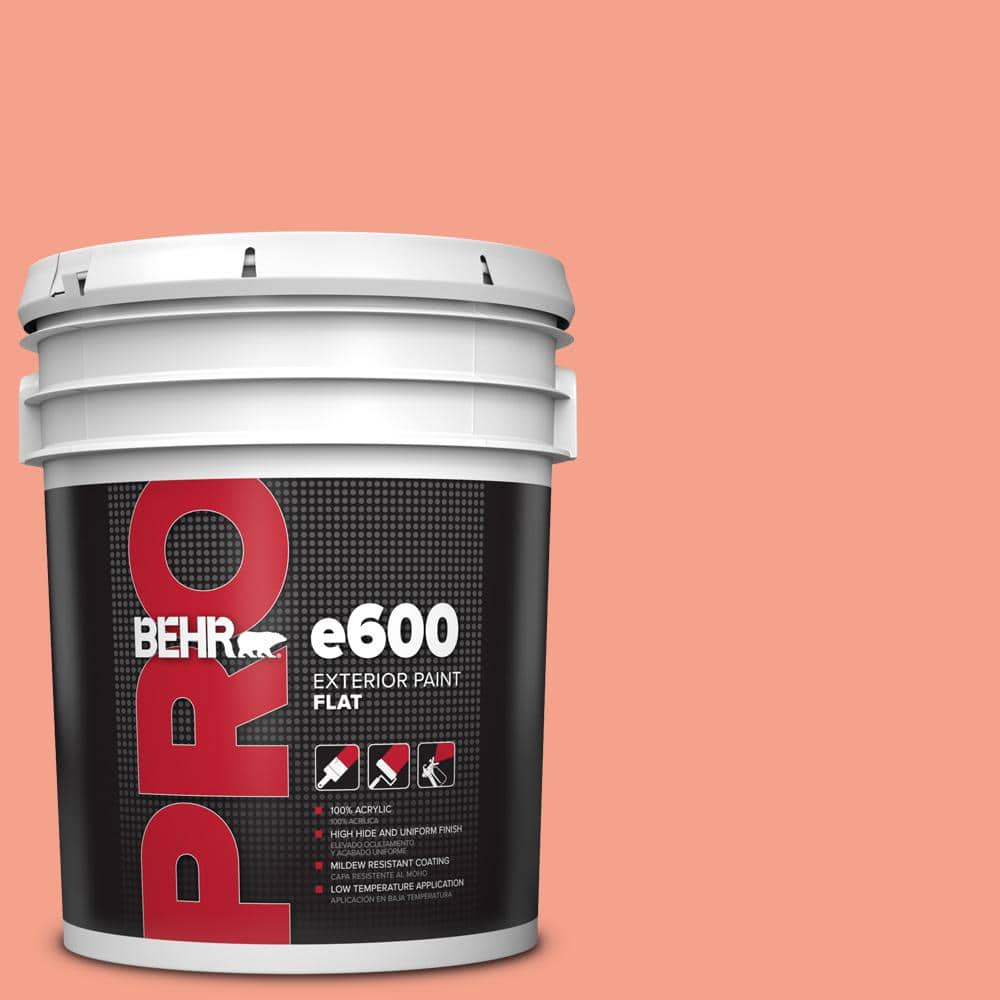 BEHR PRO 5 gal. #HDC-MD-18 Peach Mimosa Flat Exterior Paint