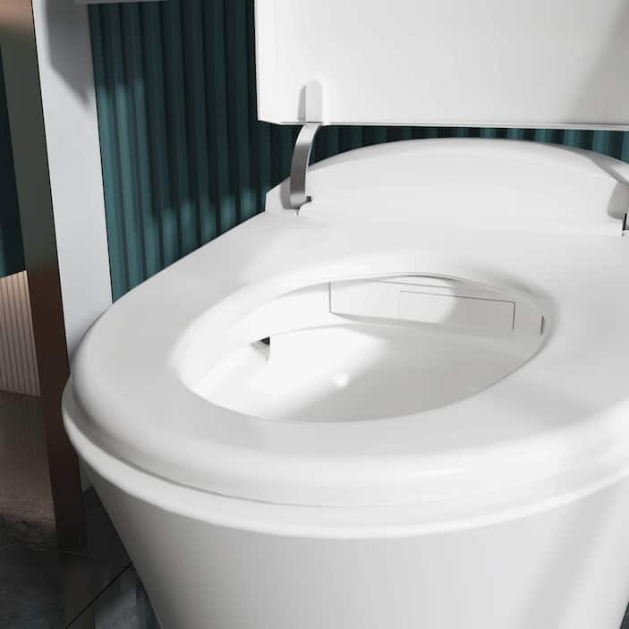 Bidet Toilets