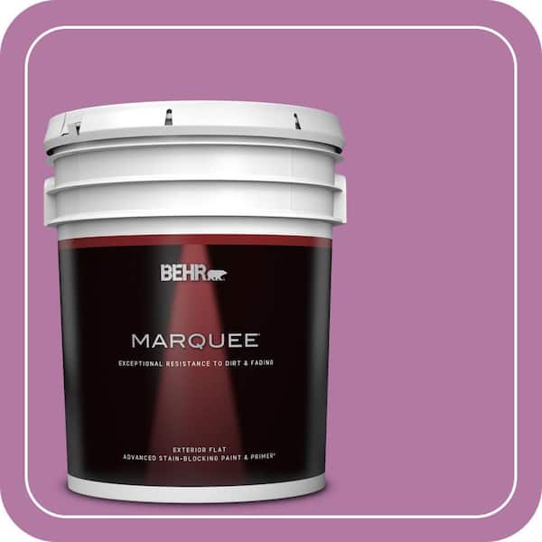 BEHR PREMIUM PLUS #HDC-SP16-11 Cactus Flower Enamel Low Odor & Primer (2)
