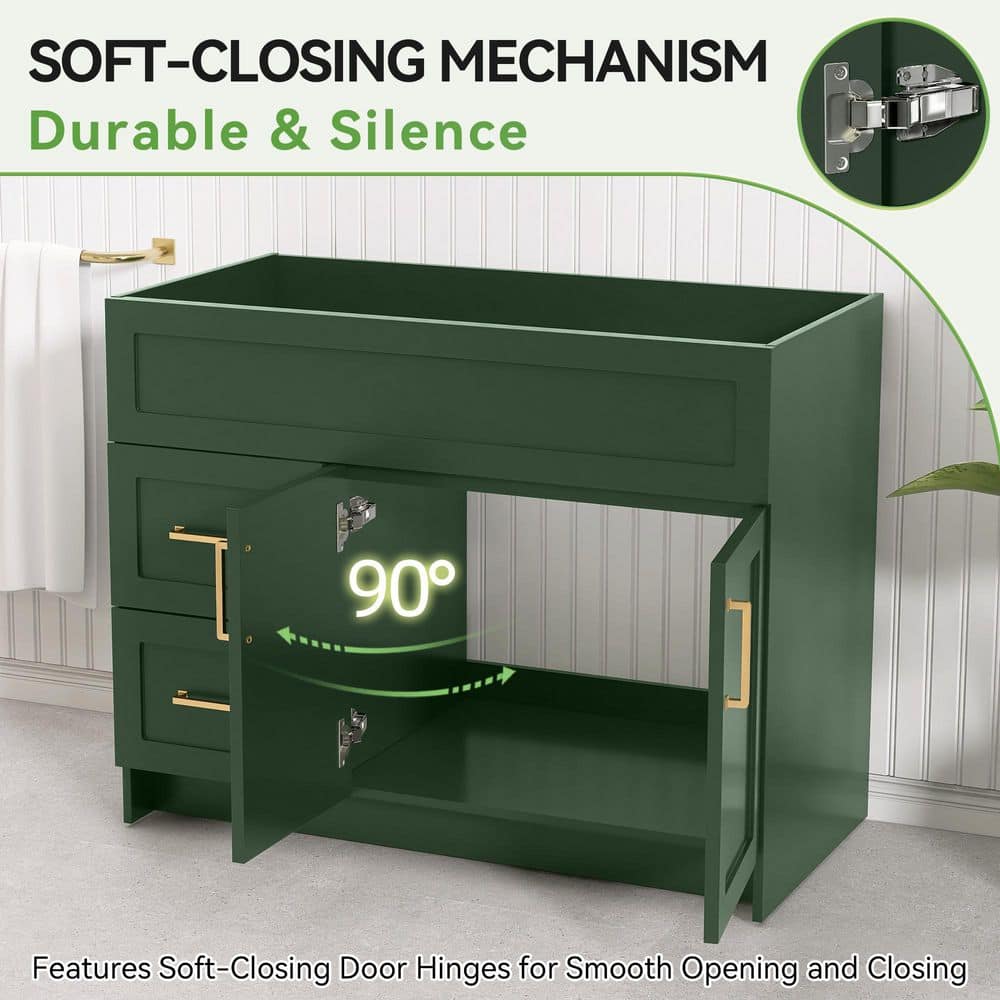 Getpro 42 in. Bath Vanity Cabinet without Top in Green with 2-Left Drawers 2 Right-Doors Soft Closing Floor Cabinet Unassembled (3)