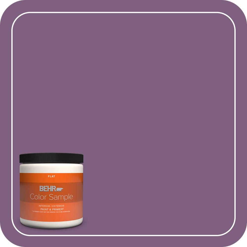 BEHR PREMIUM PLUS #MQ5-34 Showstopper Enamel Low Odor & Primer (1)
