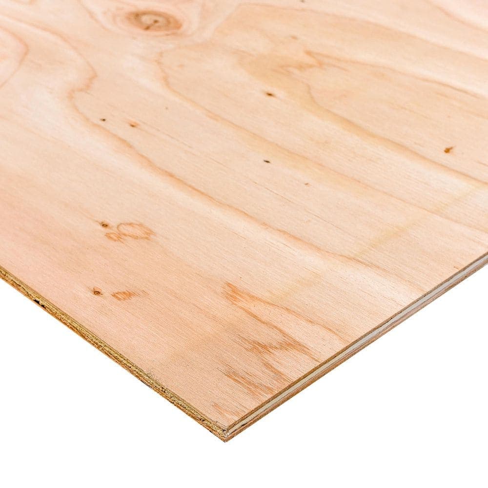 ProWood 1/2 in. x 2 ft. x 4 ft. BCX Sanded Plywood (1)