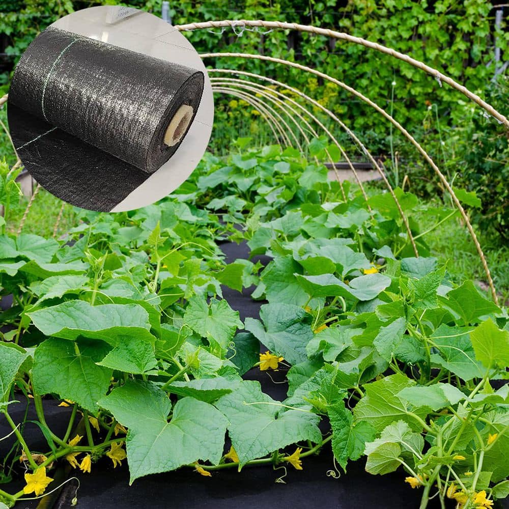Unbranded 4ft x 100ft Garden Weed Barrier Landscape Fabric Premium Ground Cover Weed Blocker Gardening Mat Superior Control (3)