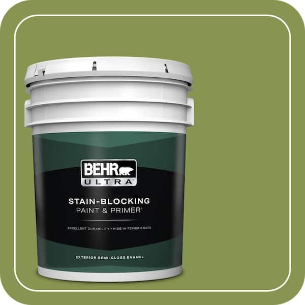 BEHR PREMIUM PLUS #M350-6 Frog Interior/Exterior Paint & Primer Color Sample (2)