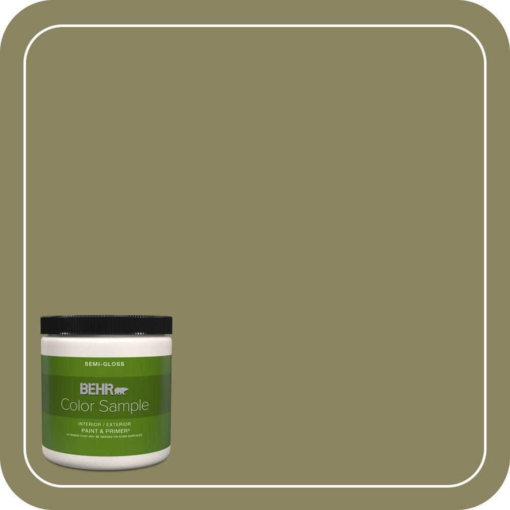 BEHR PREMIUM PLUS #S350-5 Green Scene Interior/Exterior Paint & Primer Color Sample