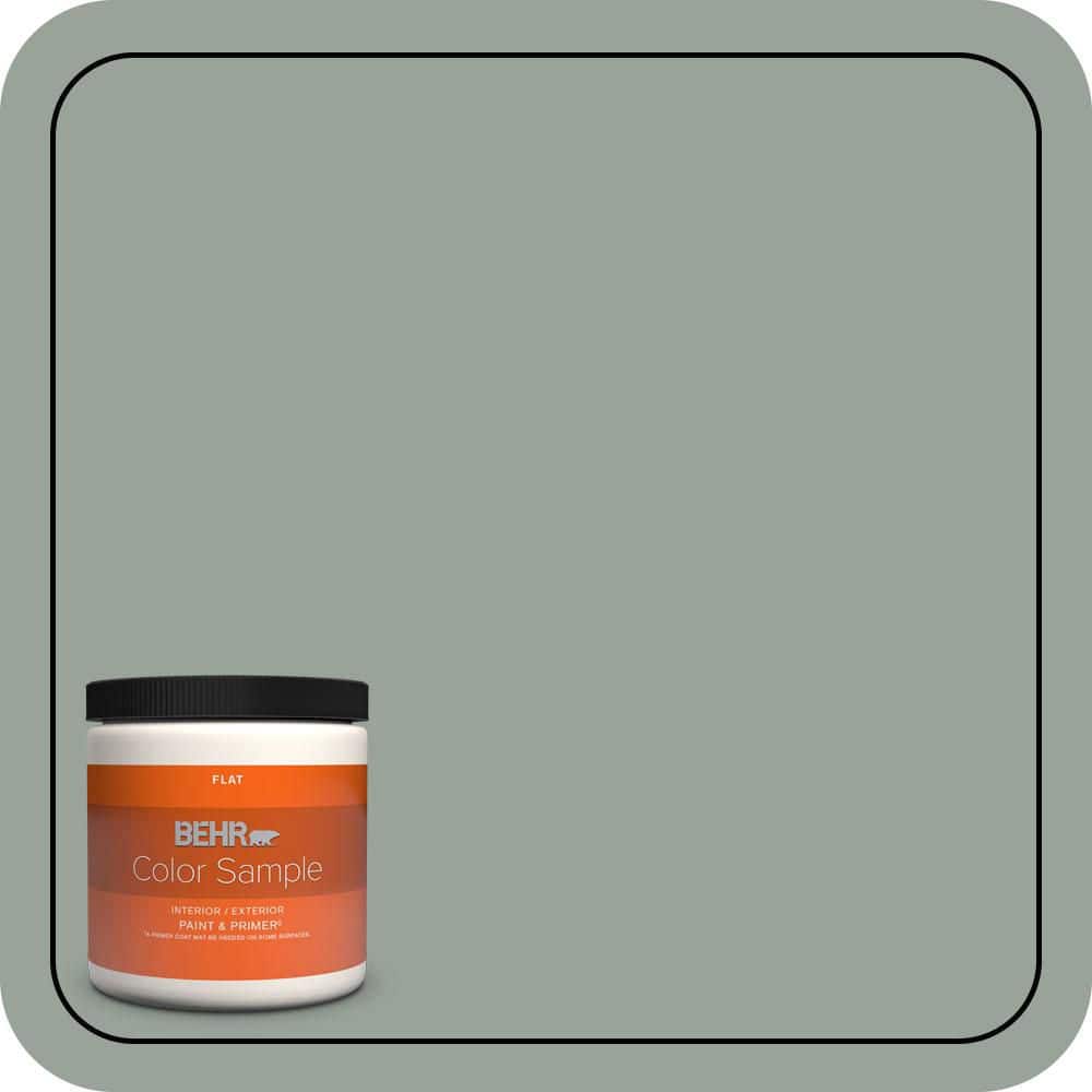 BEHR PREMIUM PLUS #N410-4 Natures Gift Interior/Exterior Paint & Primer Color Sample (1)