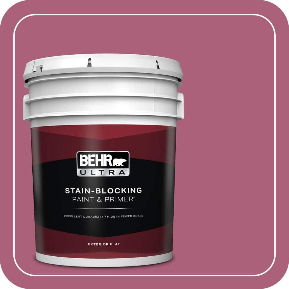 BEHR ULTRA 5 gal. #T13-1 Daah-Ling Flat Exterior Paint & Primer