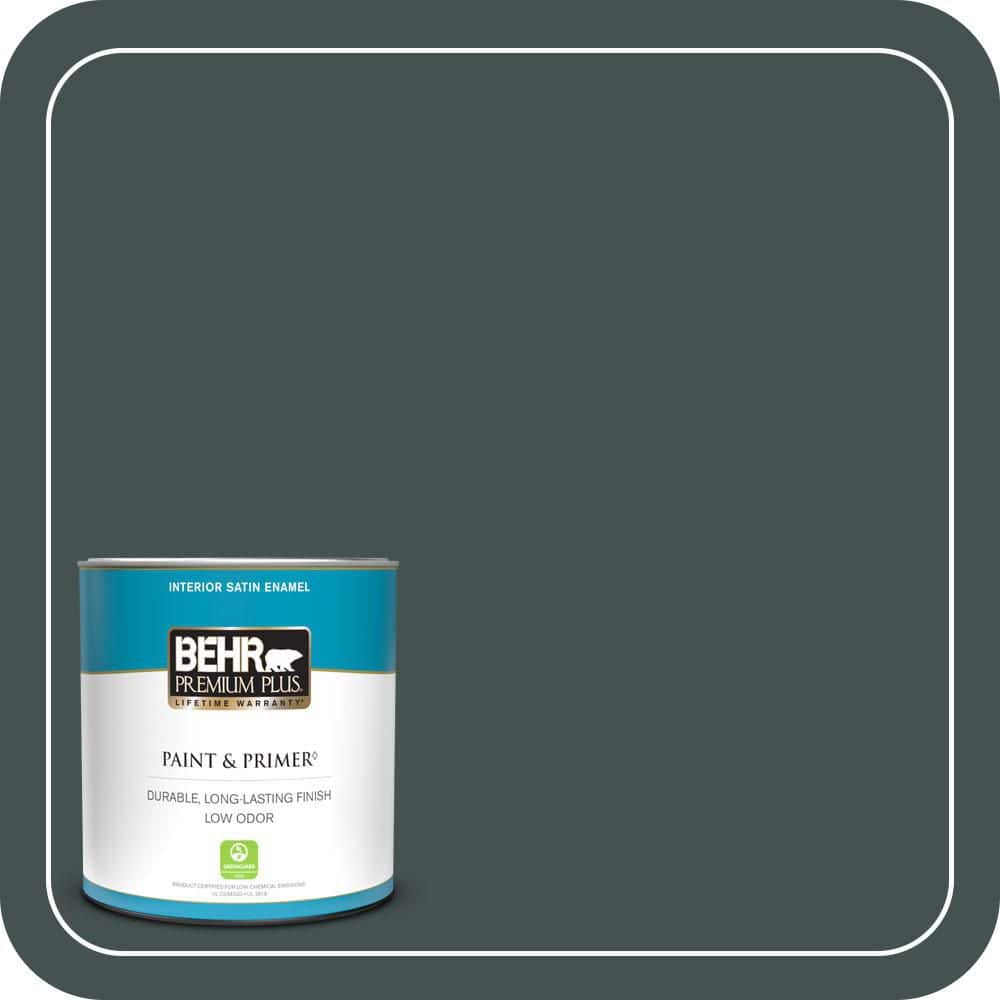 BEHR PREMIUM PLUS #MQ6-44 Black Evergreen Enamel Interior/Exterior Paint & Primer Color Sample (1)