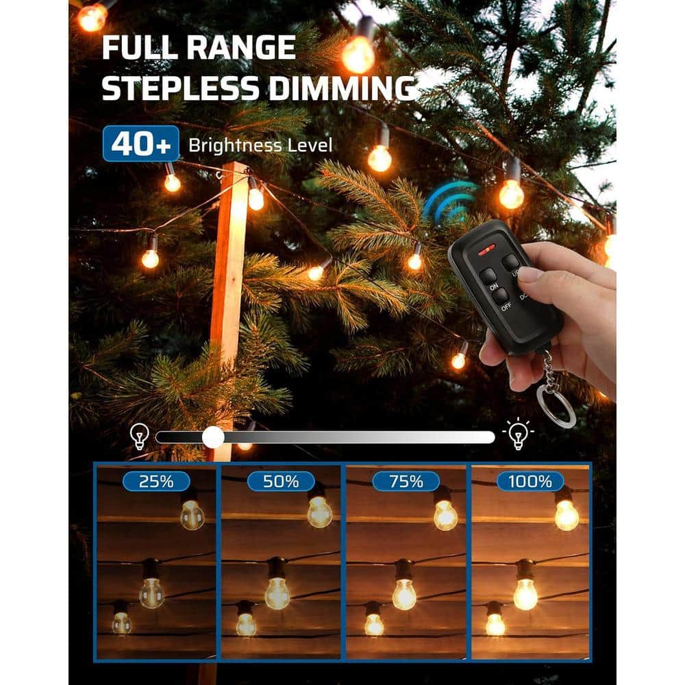 DEWENWILS Black Outdoor Remote Control Lamp Dimmer Switch for LED/Tungsten Bulbs, No Wiring Required, 1-Pack (3)