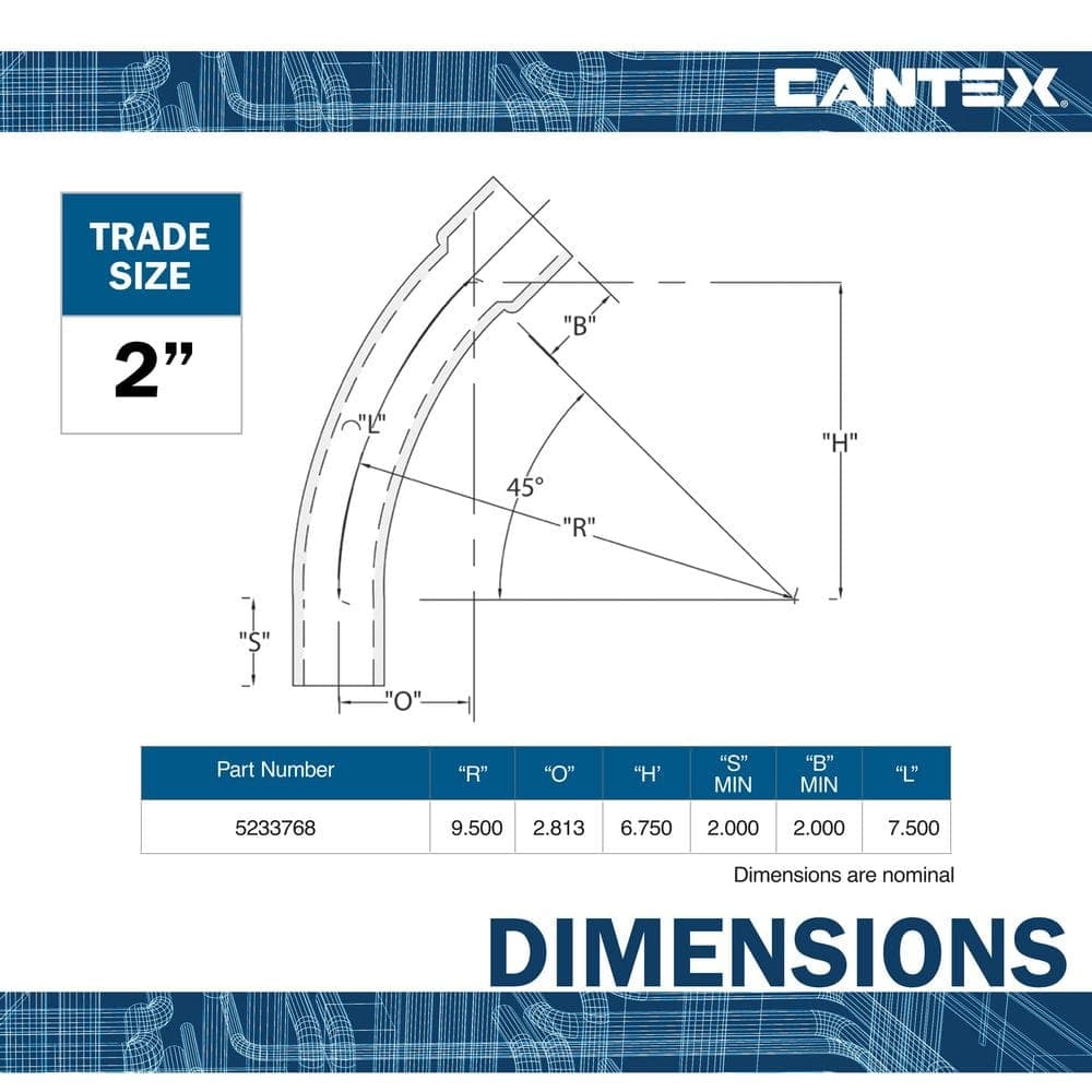 Cantex 2 in. x 45° Bell End Schedule 40-Standard Radius PVC Elbow (2)