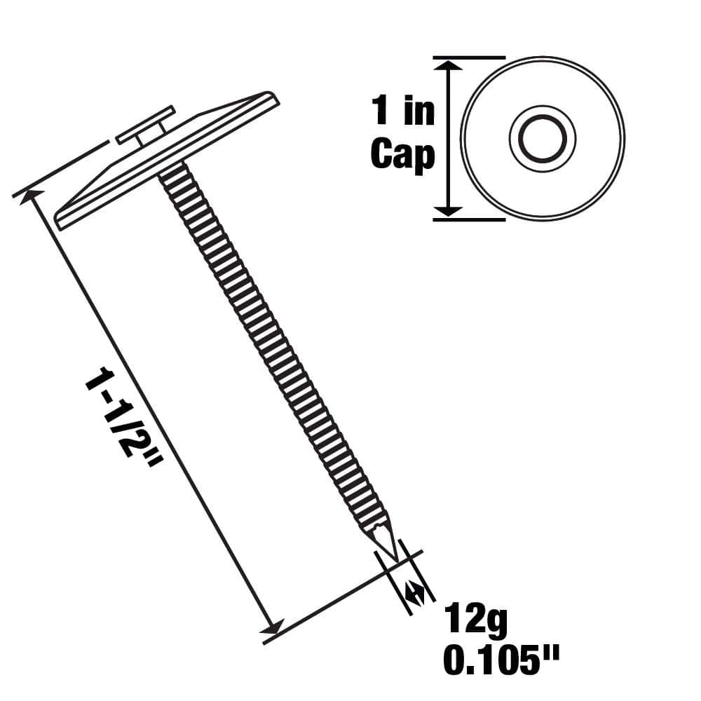 Everbilt . 4D Electro-Galvanized Plastic Cap Non-Collated Roofing Nails (207-Count) (4)