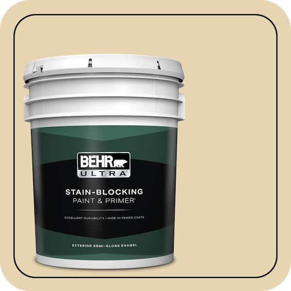 BEHR PREMIUM PLUS #360E-2 Castle Stone Enamel Interior/Exterior Paint & Primer Color Sample (3)