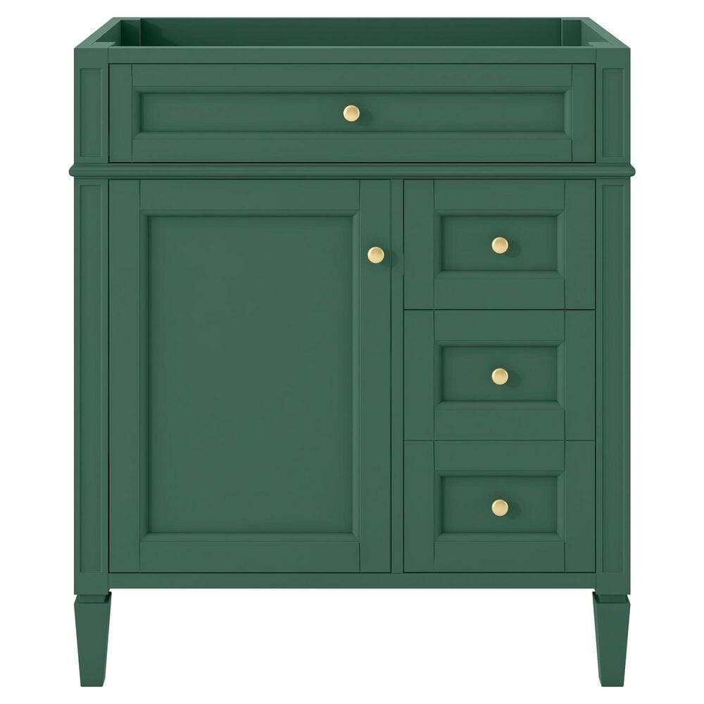 Buruis 29.3 in. Bath Vanity Cabinet without Top in Green with 2 Drawers and a Tip-out Drawer, Basin Not Included (3)