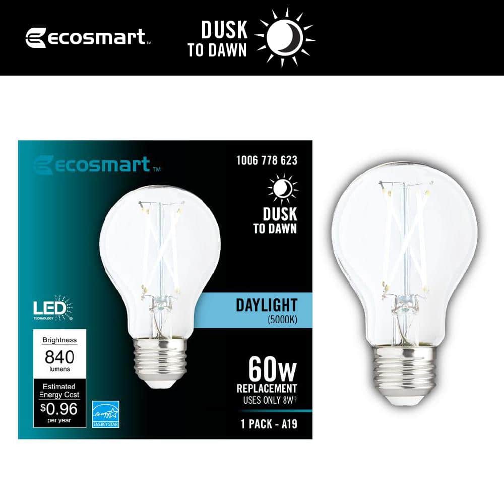 EcoSmart 60-Watt Equivalent A19 CEC Dimmable Dusk to Dawn Clear Glass Filament LED Light Bulb Daylight (1-Pack)