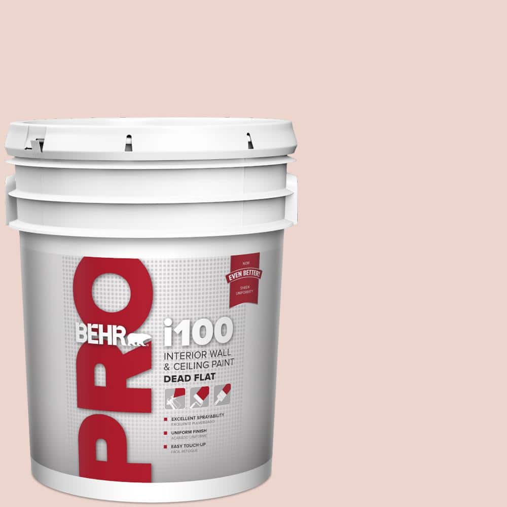BEHR PRO 5 gal. #S170-1 Ole Pink Dead Flat Interior Paint