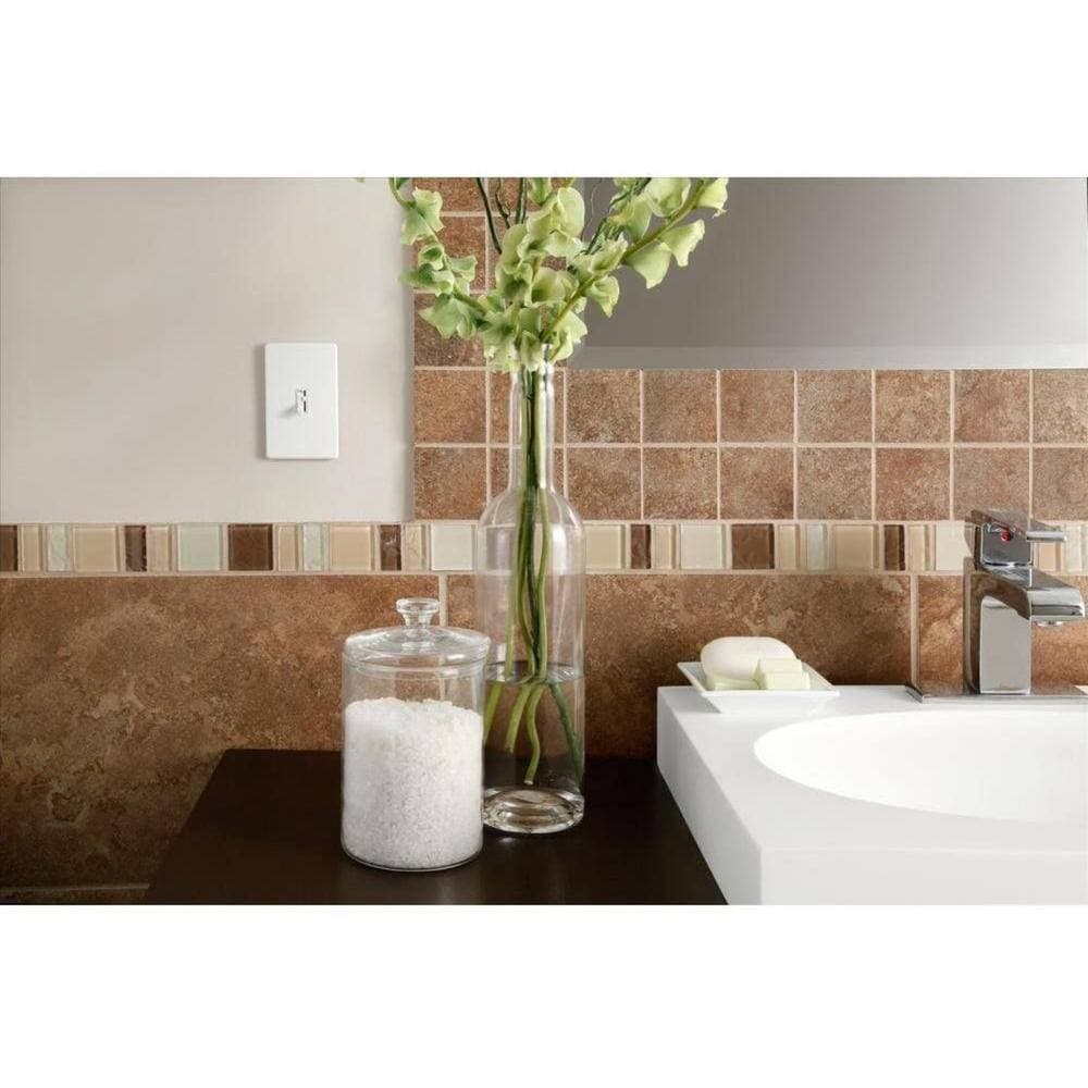 Lutron Toggler Dimmer Switch with Night Light, 1000-Watt, Single-Pole, (AY-10PNL-IV) (4)